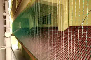 Solid Netting Premium Pigeon Safety Nets in Hyderabad, Telangana