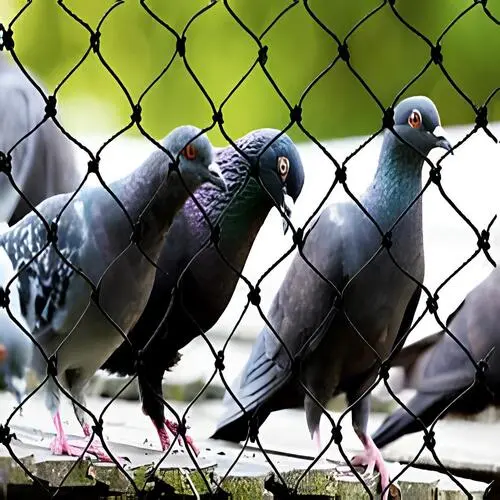 Premium Pigeon Safety Nets in Hyderabad, Telangana, Andhra Pradesh-Solid Netting