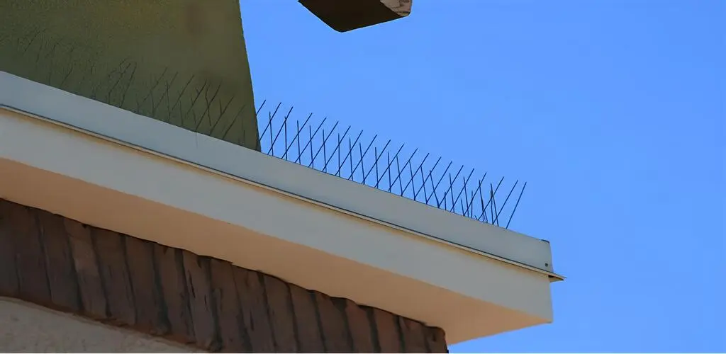 Premium Quality Stainless Steel Anti Bird Spikes in Hyderabad